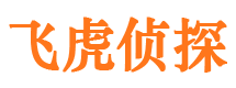 新县私家侦探